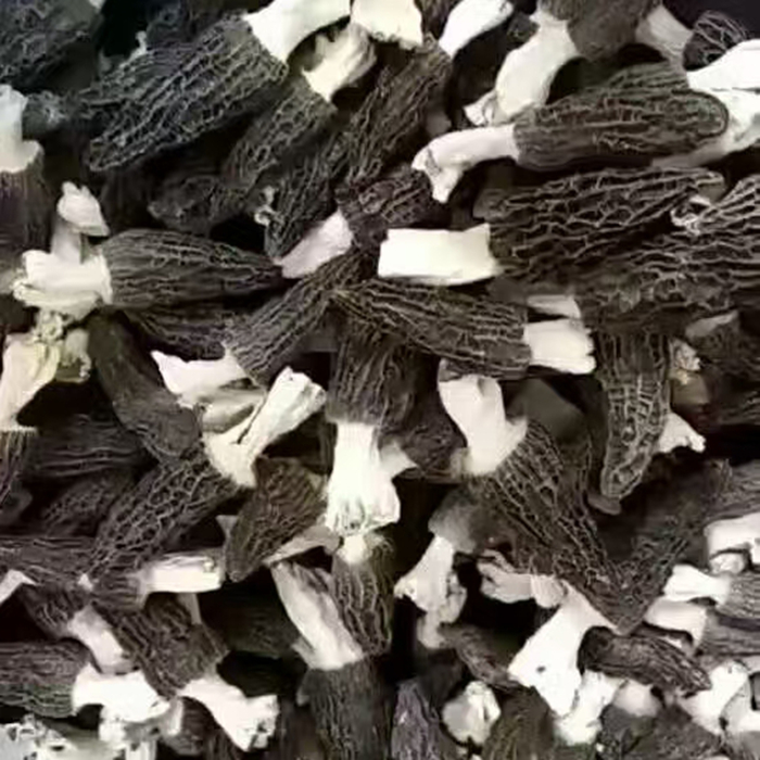 羊肚菌